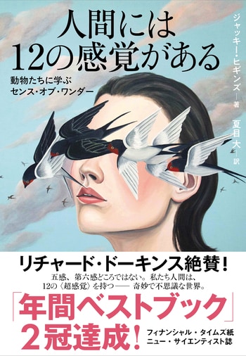 『人間には12の感覚がある』（ジャッキー・ヒギンズ 夏目大）