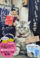 ノスタルジックな昭和風ネコ写真『吾輩は看板猫である』梅津