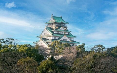 だから「豊臣兄弟」は貧しい百姓から天下人に出世した…数少ない文献からわかった秀吉＆秀長の「類まれなるビジネスセンス」