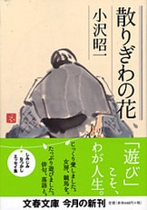 515yA14BmjL._AC_UF1000,