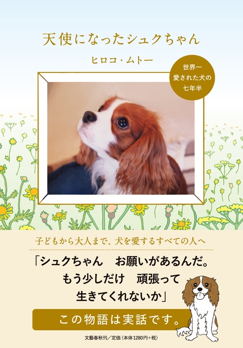 十年間 大切に保管された Br 心臓病の犬と家族の 幸福な物語 天使になったシュクちゃん 世界一愛された犬の七年半 ヒロコ ムトー 著 書評 本の話