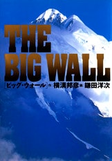 中古】 Wings 風の翼2 3/文藝春秋/鎌田洋次