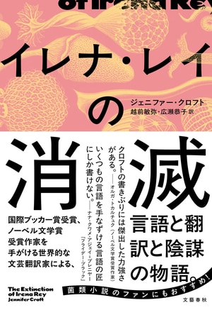 イレナ・レイの消滅