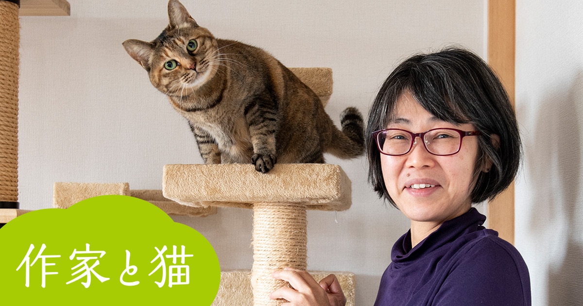 ＜作家と猫（2）＞澤田瞳子「フレンドリーな猫」