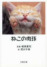 猫の肉球　 ねこの肉球 完全版』板東寛司 荒川千尋 | 文春文庫PLUS