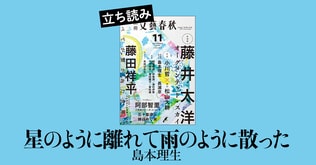 寝ても覚めても心を乱してくるものの正体は何か？ 人生の岐路に立つ「私」のひと夏の物語。『星のように離れて雨のように散った』島本理生――立ち読み