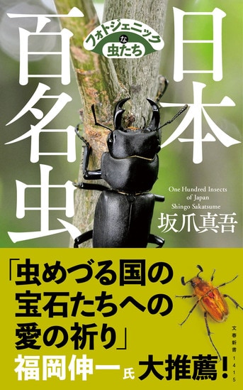Amazon.co.jp: 神奈川虫報 神奈川昆虫談話会 100号(1992年) 150