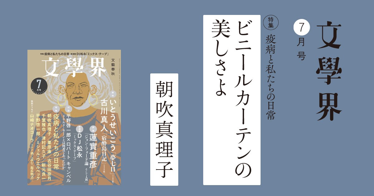 ビニールカーテンの美しさよ