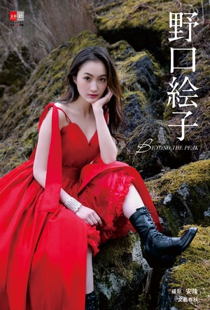 野口絵子　BEYOND THE PEAK