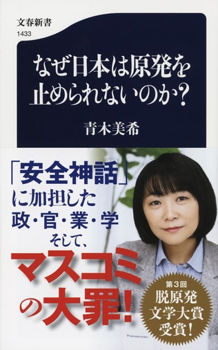 原子力ムラの深い闇に迫る。“言論封殺”された衝撃の問題作、ついに公開！