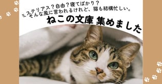 猫の日に読みたい。「猫を感じる」小説＆エッセイ7冊！