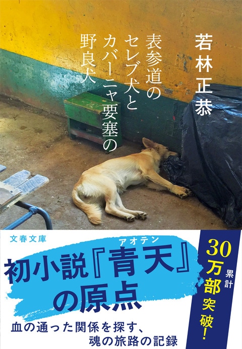 表参道のセレブ犬とカバーニャ要塞の野良犬』若林正恭 | 文春文庫