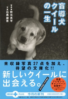 親子で読みたい文庫版『盲導犬クイールの一生』