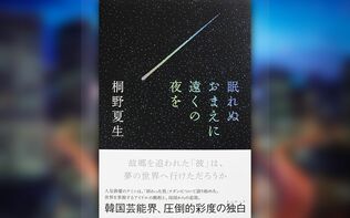世界を股にかけ、その後芸能界から追放されたK-POPスター……桐野夏生が描く「転落する男」と「故郷喪失」