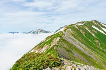 坂の上の雲 八』司馬遼太郎 | 文春文庫