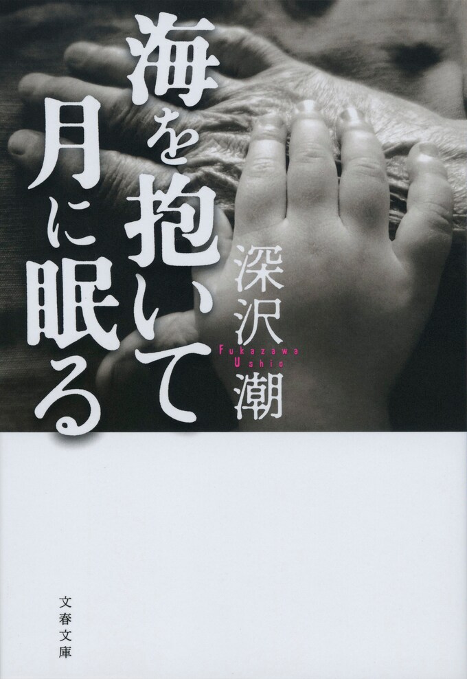 二つの人生を生きた在日一世の物語 海を抱いて月に眠る 深沢 潮 書評 本の話