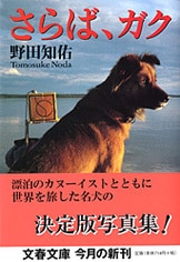 いったいぼくは何度、ガクに助けられたことだろう『ともに彷徨い いったいぼくは何度、ガクに助けられたことだろう『ともに彷徨い
