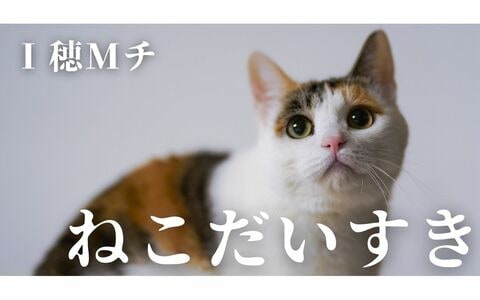 ねこだいすき