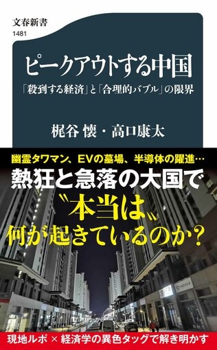 熱狂と急落の大国で“本当は”何が起きているのか？