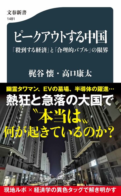 熱狂と急落の大国で“本当は”何が起きているのか？