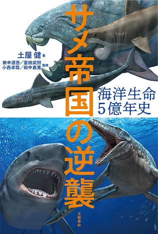 サメはなぜか女性に人気　謎多き海の古生物の魅力に迫る