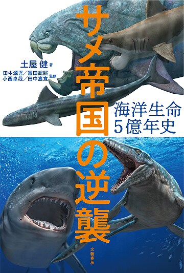 サメはなぜか女性に人気 謎多き海の古生物の魅力に迫る 海洋生命5億年史 サメ帝国の逆襲 土屋 健 著 インタビュー 対談 本の話