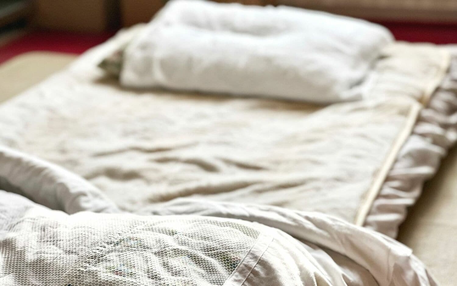 あごが欠け、局部がえぐられた死体……その道30年のベテラン監察医が見つけ出した「意外な犯人」