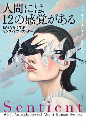 人間には12の感覚がある