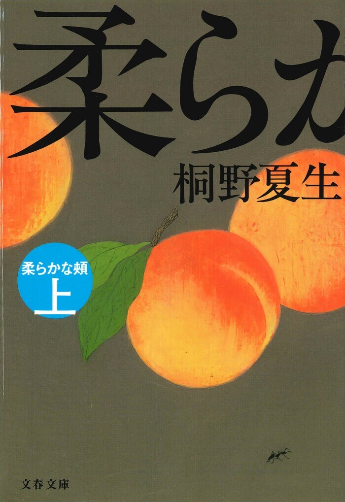 特集〉桐野夏生の衝撃<br /><p></p><br />強い虚構性は現実と拮抗しうる 『柔らかな