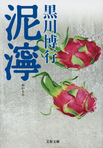 中古】 隠れた薬害？精神分裂病 / 夏来 進 / 文芸社（精神分裂病