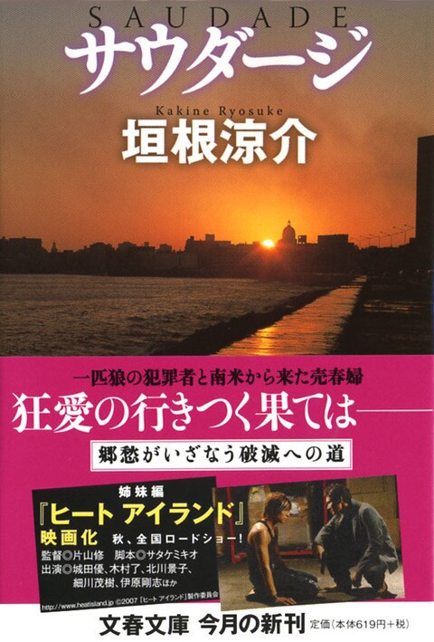 ラテン系クライムノベル 『サウダージ』 （垣根涼介 著） | 書評 - 本の話