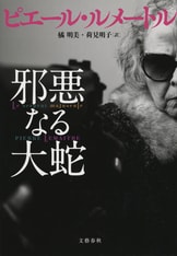 愛と悲しみ　サン・ピエール　世界少女名作全集２５ Superbia (3rd Anniversary) | Yume 100 English Wiki | Fandom