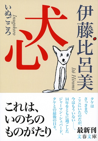 思春期くらいの、若い雄がやってきた。日々は過ぎ、刻々かわる「犬心」。