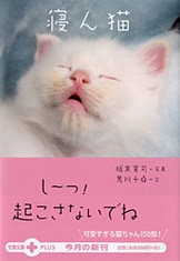 ねこの肉球 完全版』板東寛司 荒川千尋 | 文春文庫PLUS