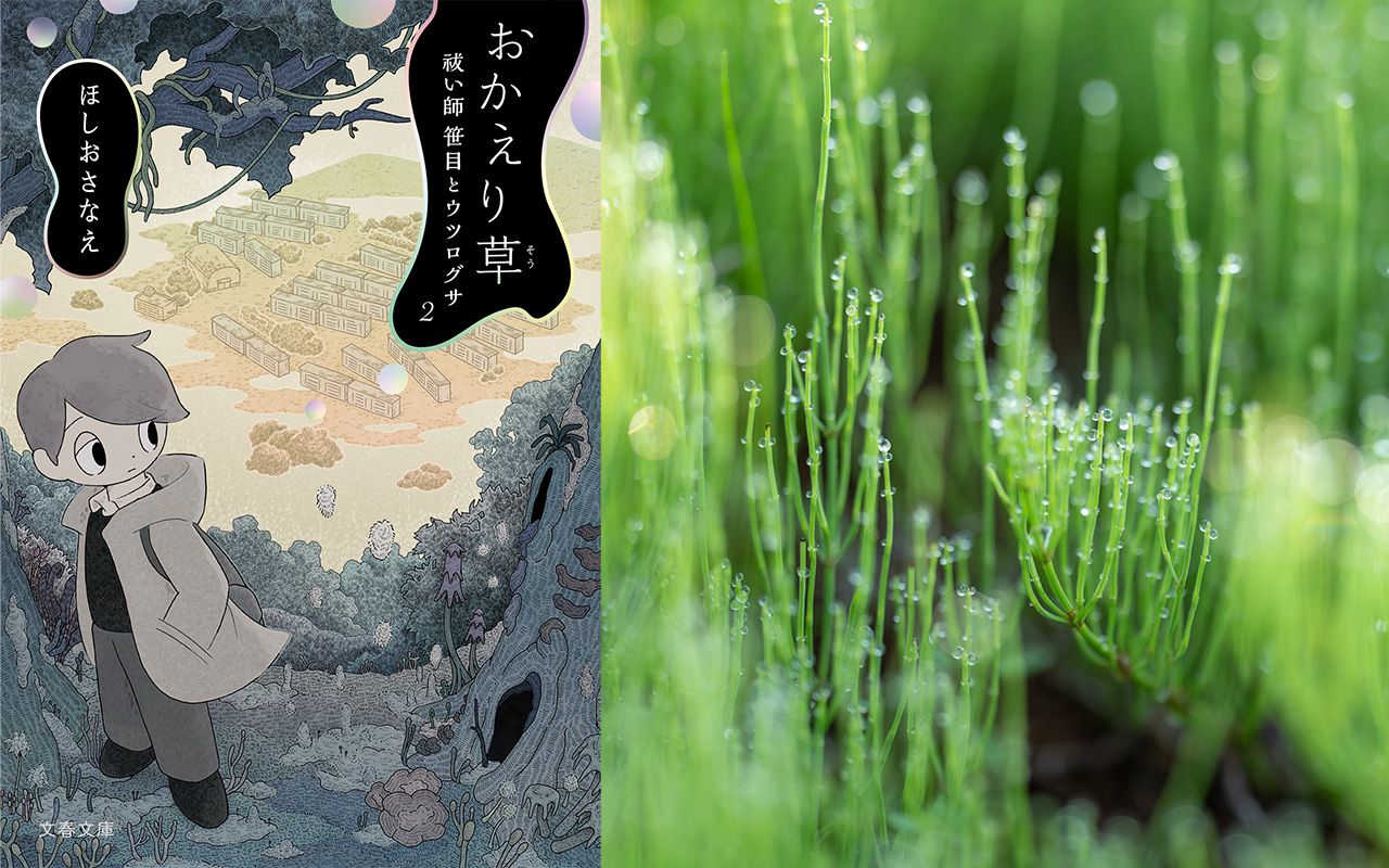 そこにある「異界」とともに生きる――河野通和（こうのみちかず）さんが紐解く、ほしおさなえ著『おかえり草（そう）－－祓い師笹目とウツログサ2』（前編）